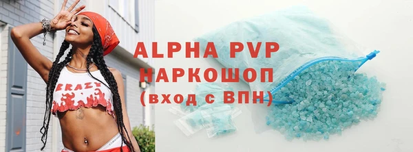 прущие грибы Беломорск